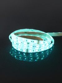 10mm DC24V RGB IP65 50mtr LED Strip