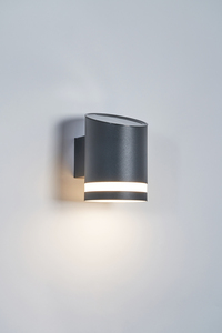 Trimdon Solar LED Wall Light 100Lm Black