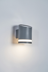Trimdon Solar LED Wall Light 100Lm Anth