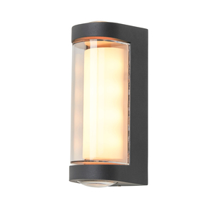 Anak 2 x 1w + 3w CCT 3/4/5/6k Wall Light IP54 Anth